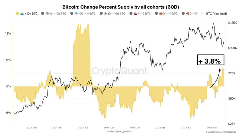 Bitcoin Whales Pivot to Accumulation, Boost Holdings 3.8% in Two Months