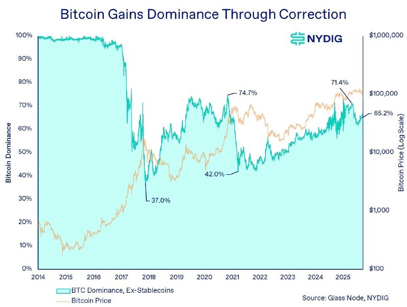 Bitcoin Dominance Tops 60% as Capital Rotates to BTC During Pullbacks