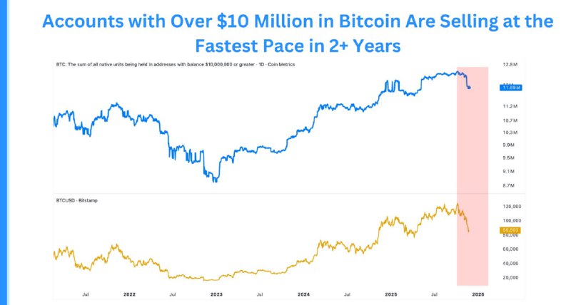 Bitcoin Whales Sell at Fastest Pace in 2+ Years as Distribution Rises