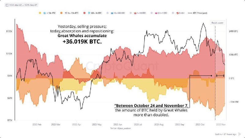 Bitcoin ‘Great Whales’ Double Holdings, Add ~36,019 BTC Between Oct 24–Nov 7