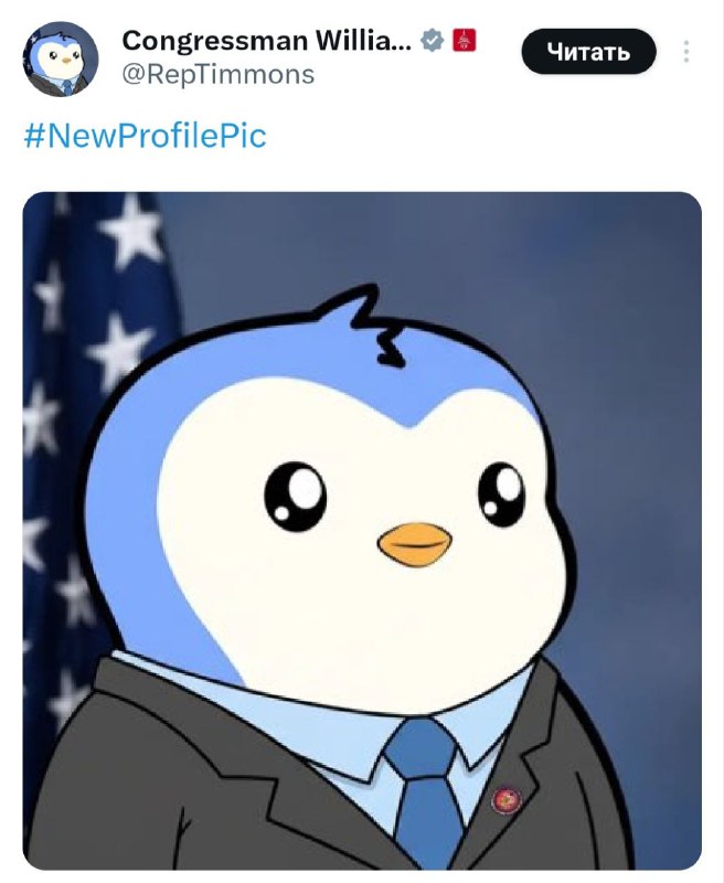 US Congressman William Timmons Adopts Pudgy Penguins NFT as X Avatar